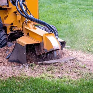 Stump Grinding icon