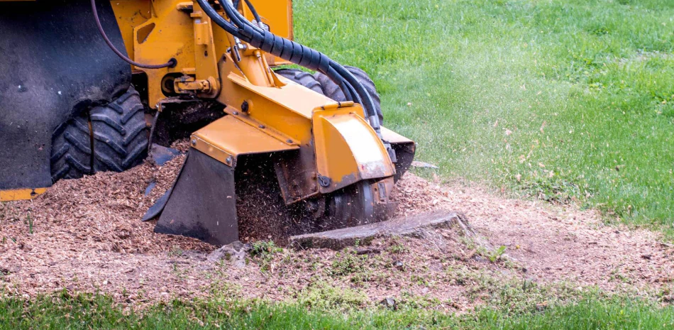 Stump Grinding Stump Grinding